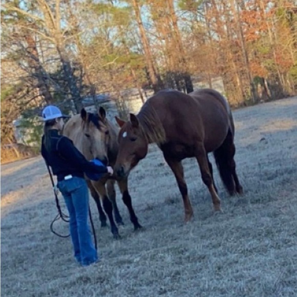 Meet your Posher, Taylor - Picture 6 of 8